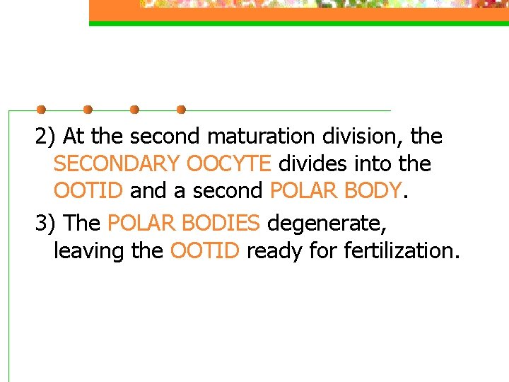 2) At the second maturation division, the SECONDARY OOCYTE divides into the OOTID and