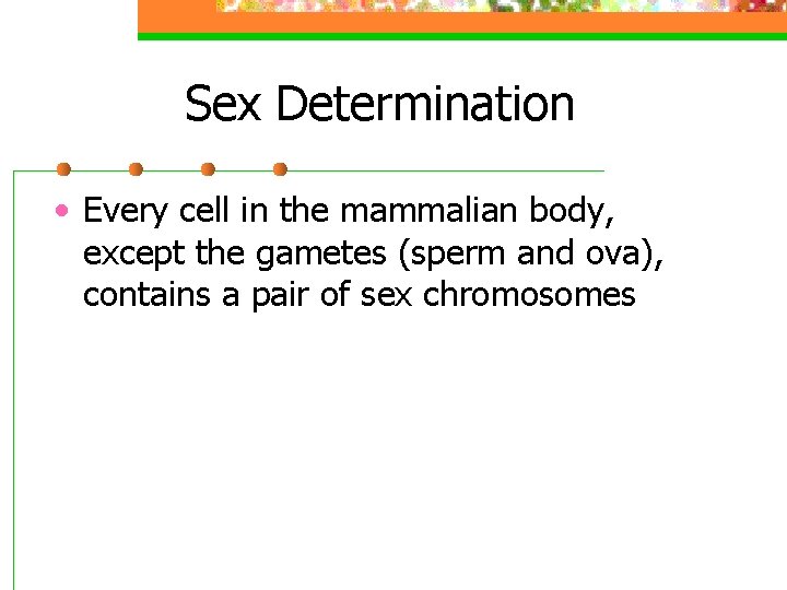 Sex Determination • Every cell in the mammalian body, except the gametes (sperm and
