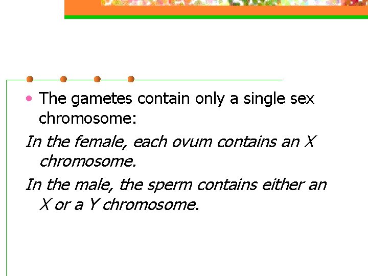  • The gametes contain only a single sex chromosome: In the female, each