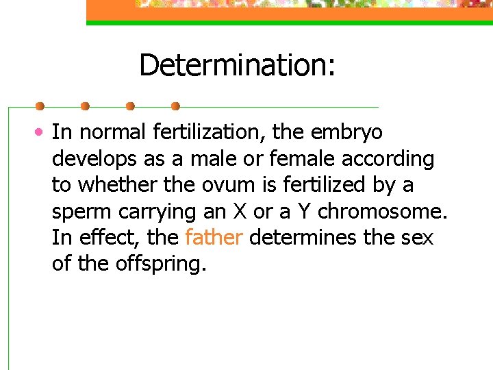 Determination: • In normal fertilization, the embryo develops as a male or female according