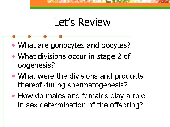 Let’s Review • What are gonocytes and oocytes? • What divisions occur in stage
