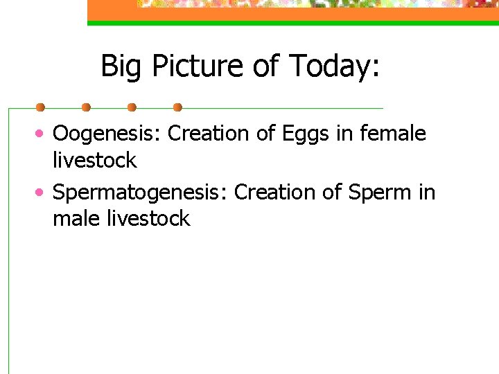 Big Picture of Today: • Oogenesis: Creation of Eggs in female livestock • Spermatogenesis: