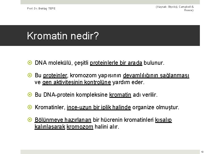 Prof. Dr. Bektaş TEPE (Kaynak: Biyoloji, Campbell & Reece) Kromatin nedir? DNA molekülü, çeşitli