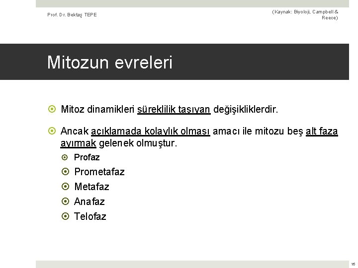 Prof. Dr. Bektaş TEPE (Kaynak: Biyoloji, Campbell & Reece) Mitozun evreleri Mitoz dinamikleri süreklilik