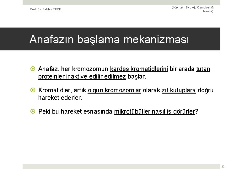 Prof. Dr. Bektaş TEPE (Kaynak: Biyoloji, Campbell & Reece) Anafazın başlama mekanizması Anafaz, her