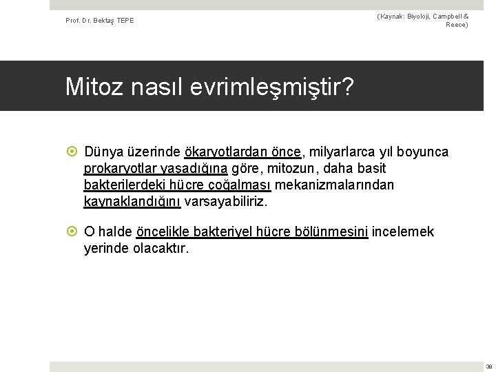 Prof. Dr. Bektaş TEPE (Kaynak: Biyoloji, Campbell & Reece) Mitoz nasıl evrimleşmiştir? Dünya üzerinde