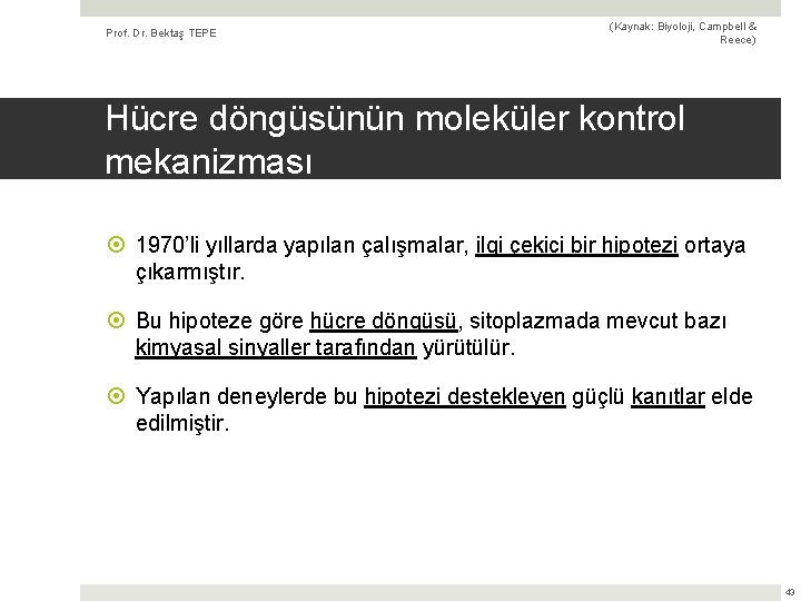 Prof. Dr. Bektaş TEPE (Kaynak: Biyoloji, Campbell & Reece) Hücre döngüsünün moleküler kontrol mekanizması