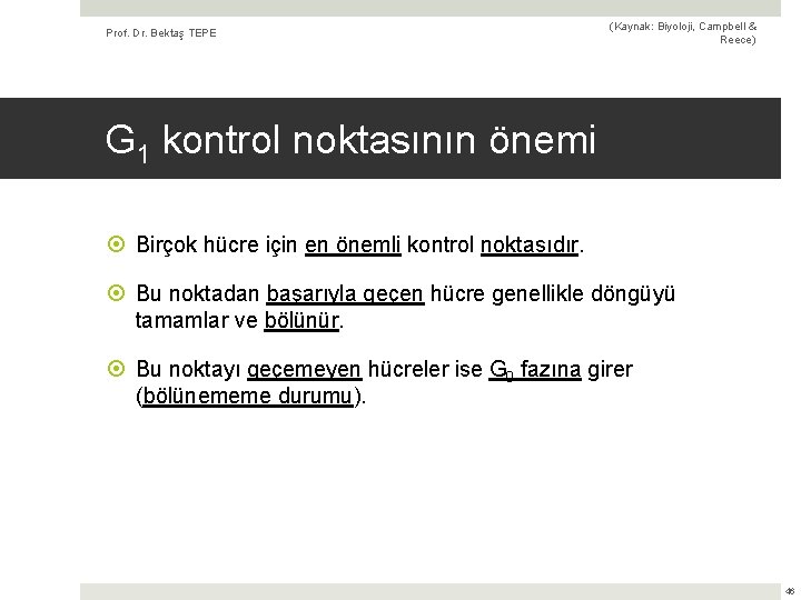 Prof. Dr. Bektaş TEPE (Kaynak: Biyoloji, Campbell & Reece) G 1 kontrol noktasının önemi