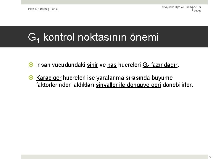 Prof. Dr. Bektaş TEPE (Kaynak: Biyoloji, Campbell & Reece) G 1 kontrol noktasının önemi