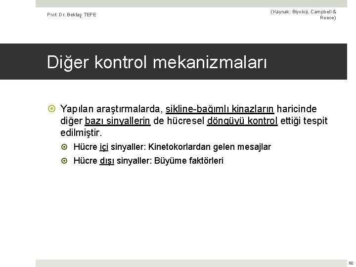 Prof. Dr. Bektaş TEPE (Kaynak: Biyoloji, Campbell & Reece) Diğer kontrol mekanizmaları Yapılan araştırmalarda,