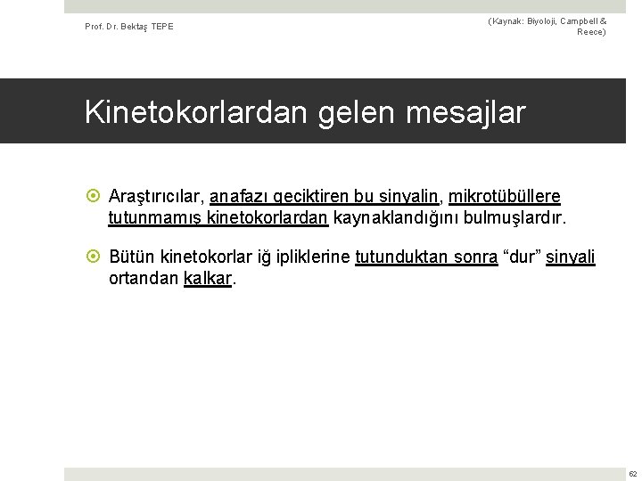 Prof. Dr. Bektaş TEPE (Kaynak: Biyoloji, Campbell & Reece) Kinetokorlardan gelen mesajlar Araştırıcılar, anafazı