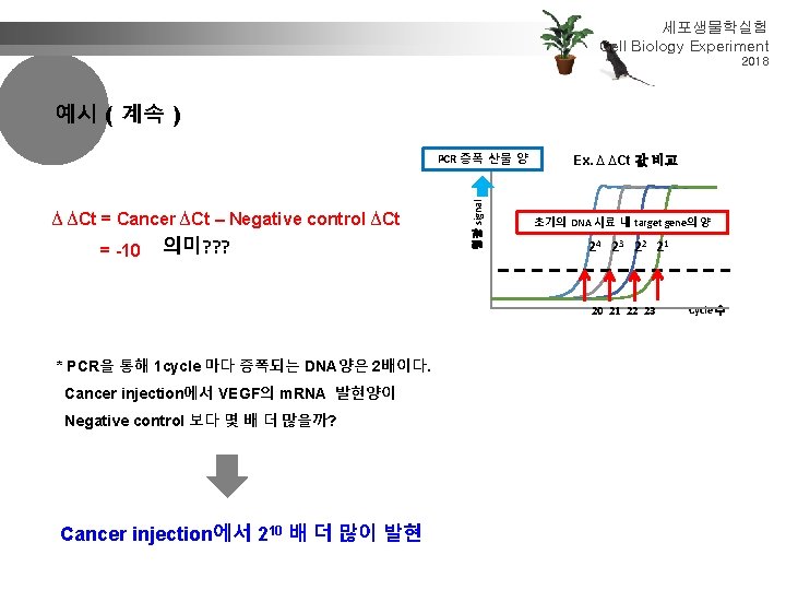 세포생물학실험 Cell Biology Experiment 2018 예시 ( 계속 ) ∆ ∆Ct = Cancer ∆Ct