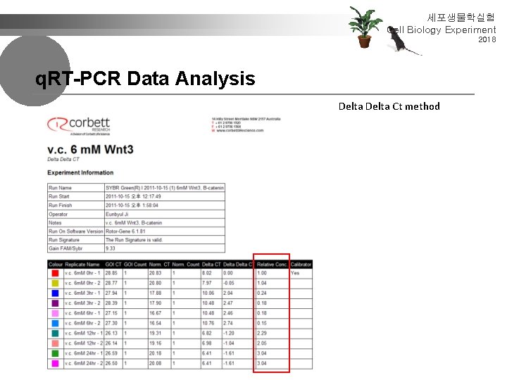 세포생물학실험 Cell Biology Experiment 2018 q. RT-PCR Data Analysis Delta Ct method 