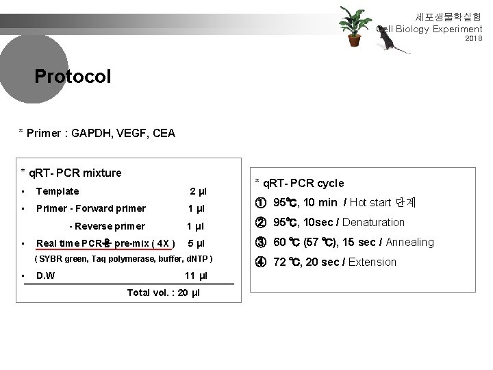 세포생물학실험 Cell Biology Experiment 2018 Protocol * Primer : GAPDH, VEGF, CEA * q.