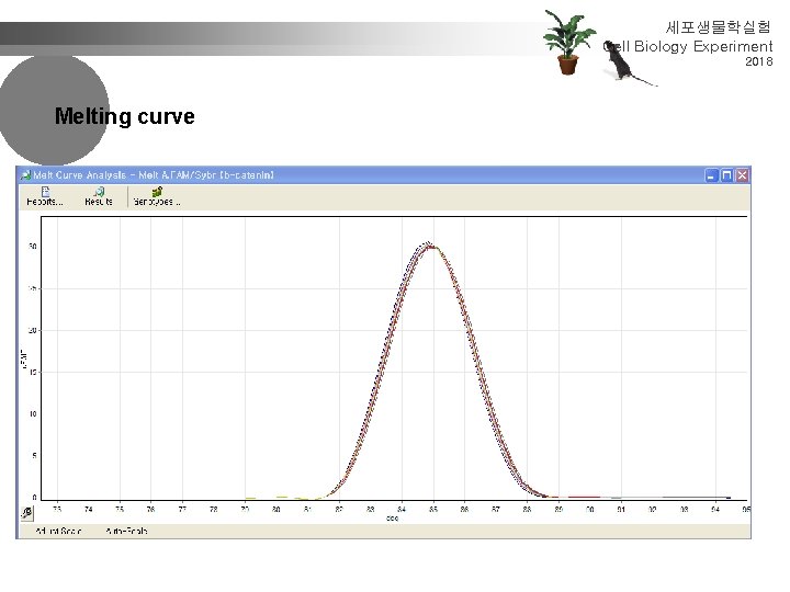 세포생물학실험 Cell Biology Experiment 2018 Melting curve 
