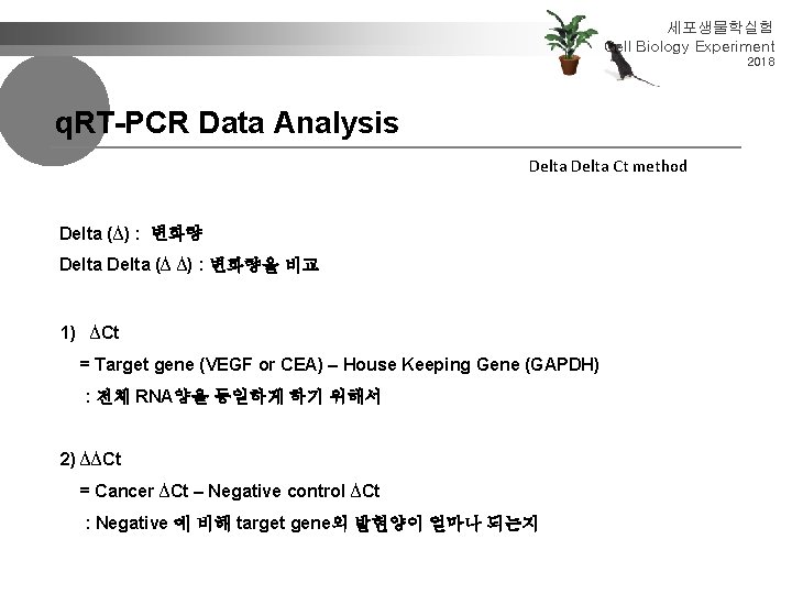 세포생물학실험 Cell Biology Experiment 2018 q. RT-PCR Data Analysis Delta Ct method Delta (∆)