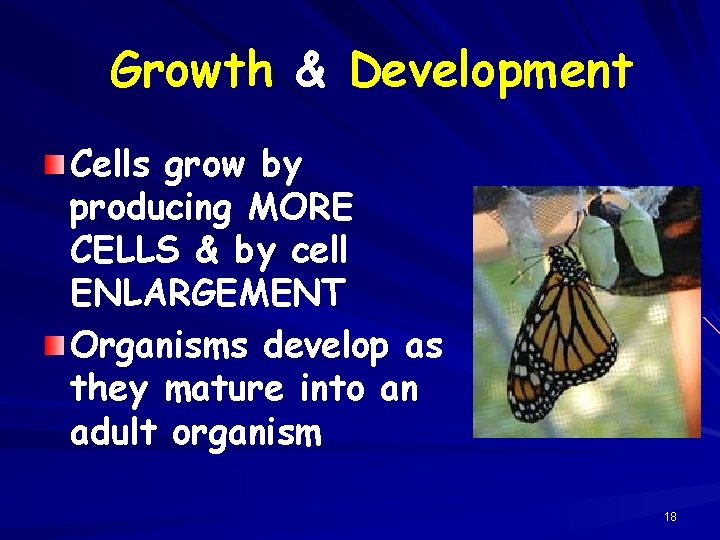 Growth & Development Cells grow by producing MORE CELLS & by cell ENLARGEMENT Organisms