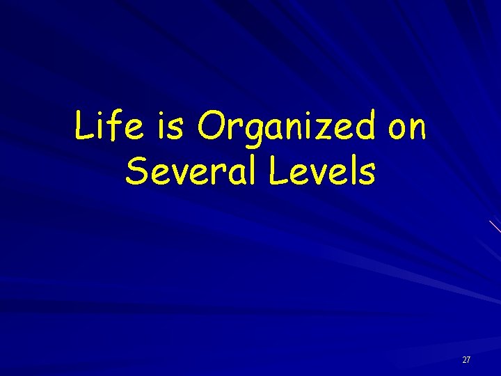 Life is Organized on Several Levels 27 
