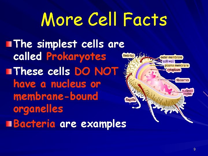 More Cell Facts The simplest cells are called Prokaryotes These cells DO NOT have