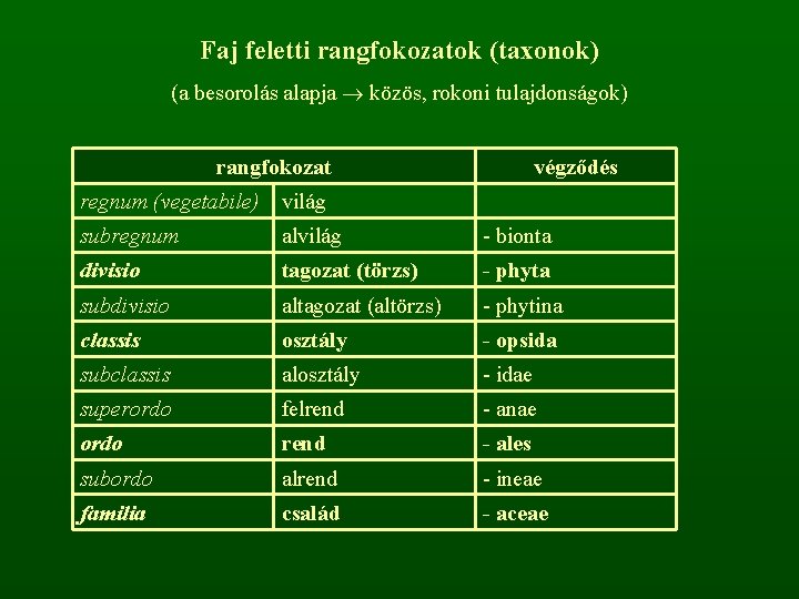 Faj feletti rangfokozatok (taxonok) (a besorolás alapja közös, rokoni tulajdonságok) rangfokozat végződés regnum (vegetabile)