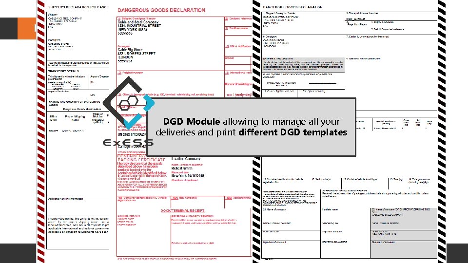 Dangerous Goods Declaration DGD Module allowing to manage all your deliveries and print different