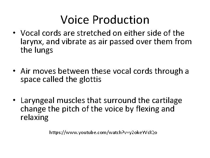 Voice Production • Vocal cords are stretched on either side of the larynx, and