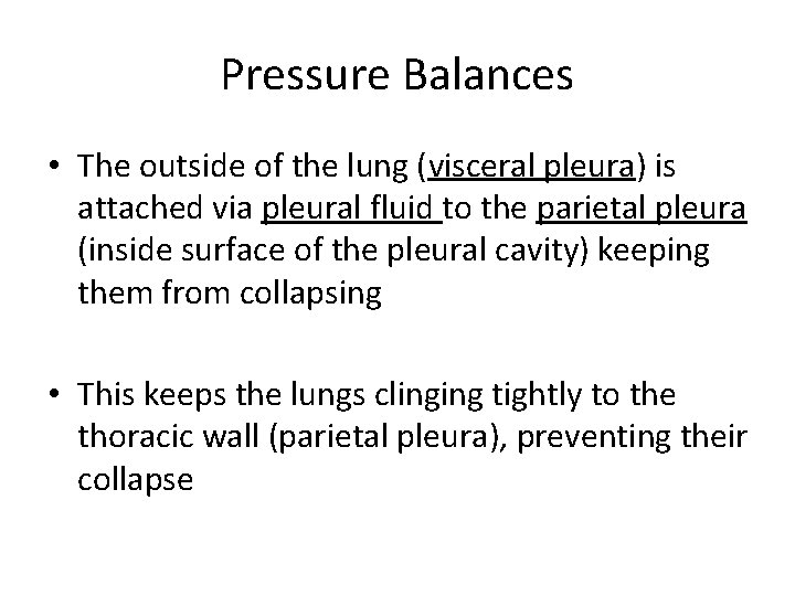 Pressure Balances • The outside of the lung (visceral pleura) is attached via pleural