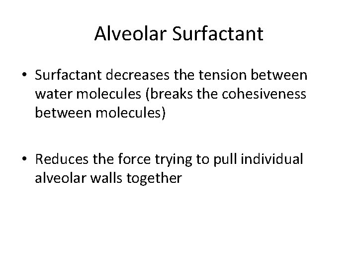 Alveolar Surfactant • Surfactant decreases the tension between water molecules (breaks the cohesiveness between