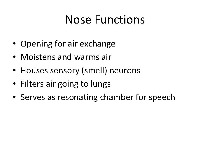 Nose Functions • • • Opening for air exchange Moistens and warms air Houses