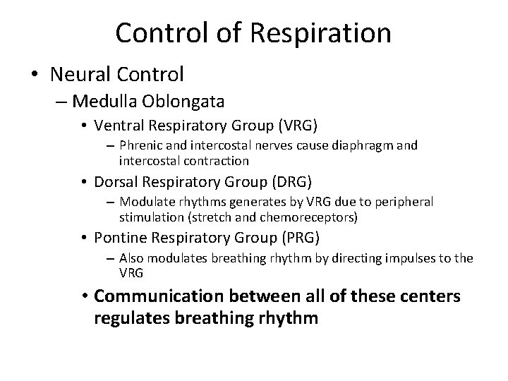 Control of Respiration • Neural Control – Medulla Oblongata • Ventral Respiratory Group (VRG)