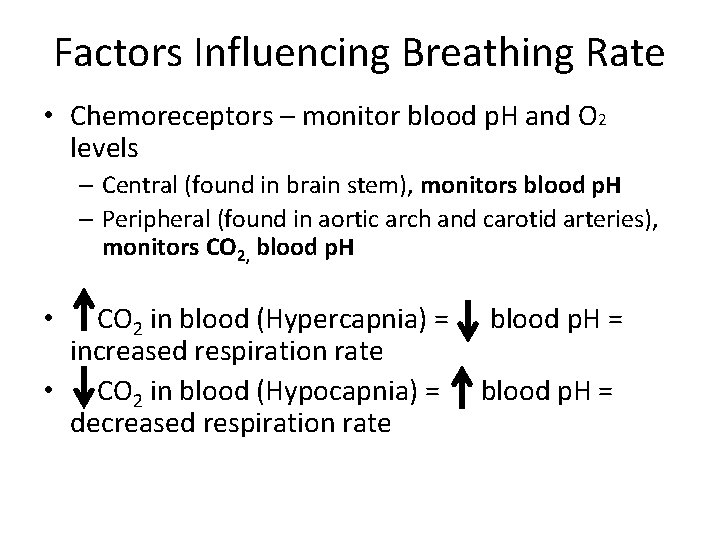 Factors Influencing Breathing Rate • Chemoreceptors – monitor blood p. H and O 2
