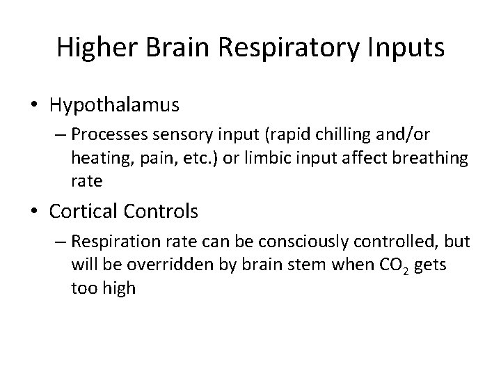 Higher Brain Respiratory Inputs • Hypothalamus – Processes sensory input (rapid chilling and/or heating,
