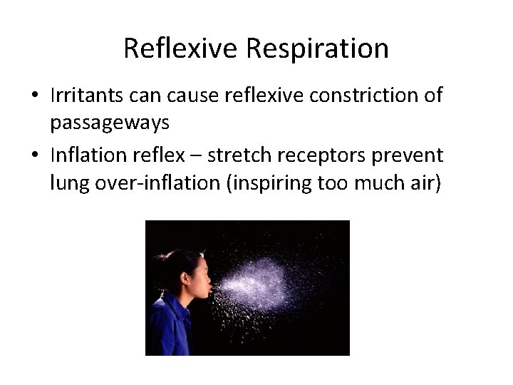 Reflexive Respiration • Irritants can cause reflexive constriction of passageways • Inflation reflex –