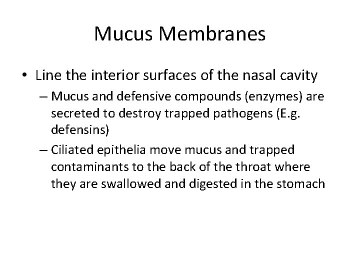 Mucus Membranes • Line the interior surfaces of the nasal cavity – Mucus and