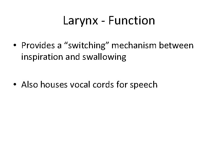 Larynx - Function • Provides a “switching” mechanism between inspiration and swallowing • Also