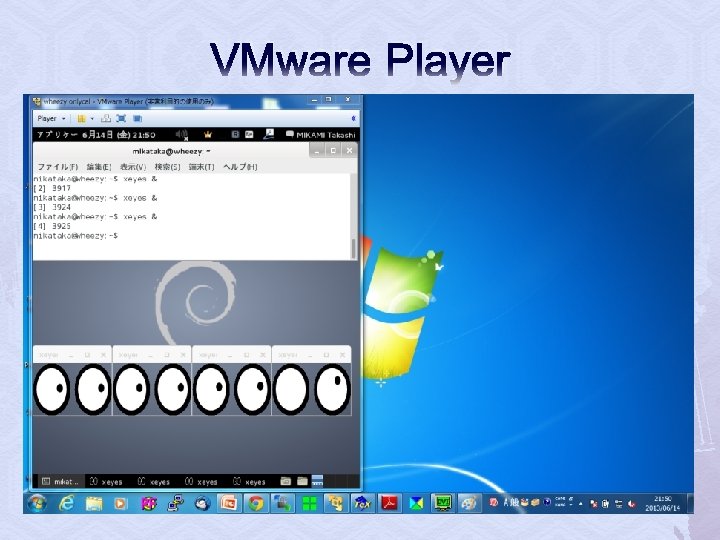 VMware Player 