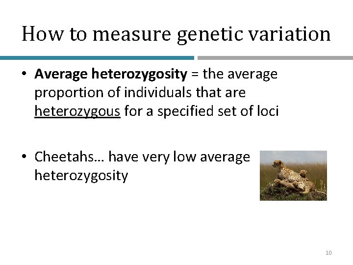 How to measure genetic variation • Average heterozygosity = the average proportion of individuals