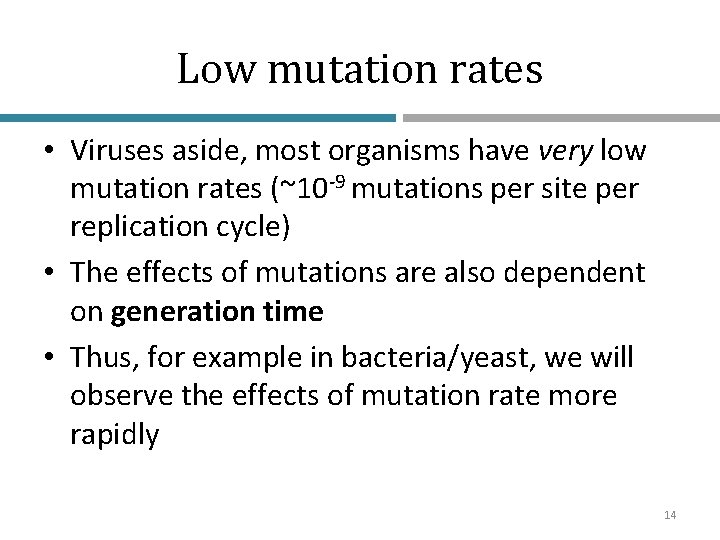 Low mutation rates • Viruses aside, most organisms have very low mutation rates (~10