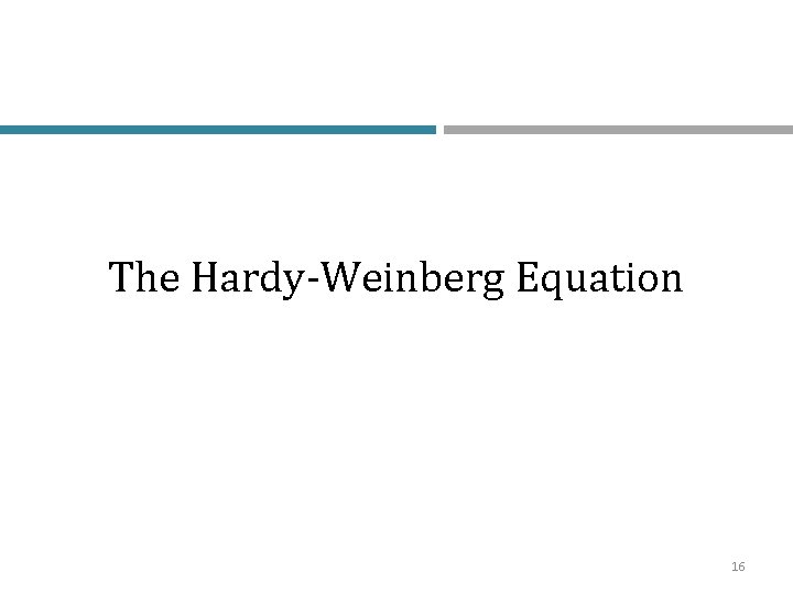 The Hardy-Weinberg Equation 16 