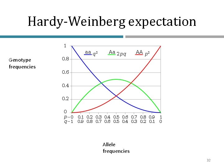 Hardy-Weinberg expectation Genotype frequencies Allele frequencies 32 