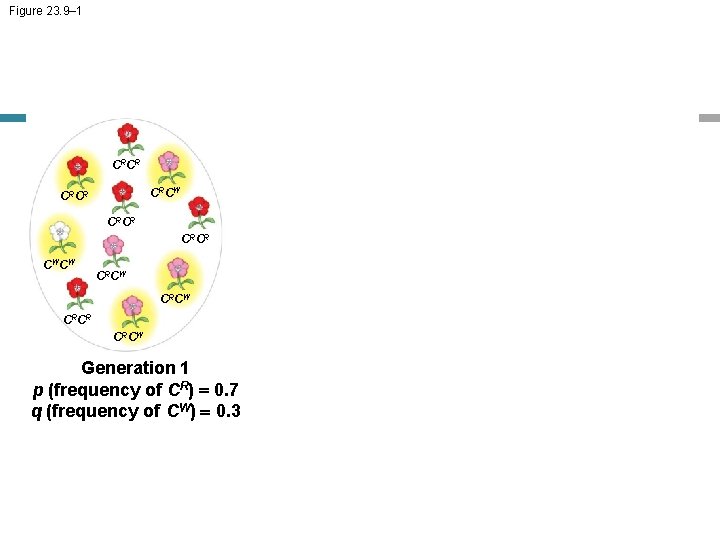 Figure 23. 9– 1 CRCR CRCW CRCR CWCW CRCW CRCR CRCW Generation 1 p