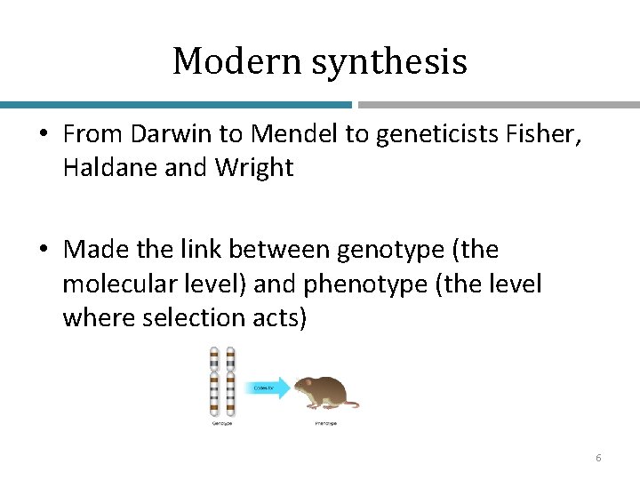 Modern synthesis • From Darwin to Mendel to geneticists Fisher, Haldane and Wright •