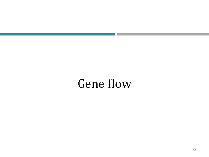 Gene flow 65 