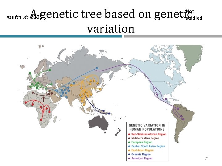 A genetic tree based on genetic variation לא רלוונטי 2020 Not studied 74 