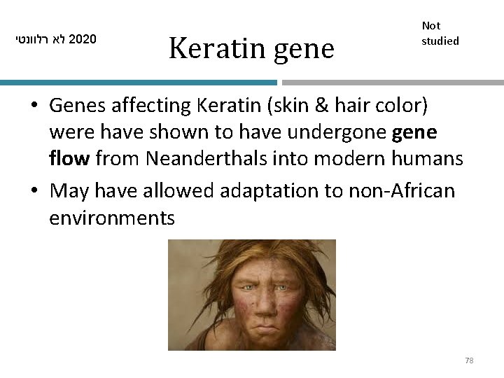  לא רלוונטי 2020 Keratin gene Not studied • Genes affecting Keratin (skin &