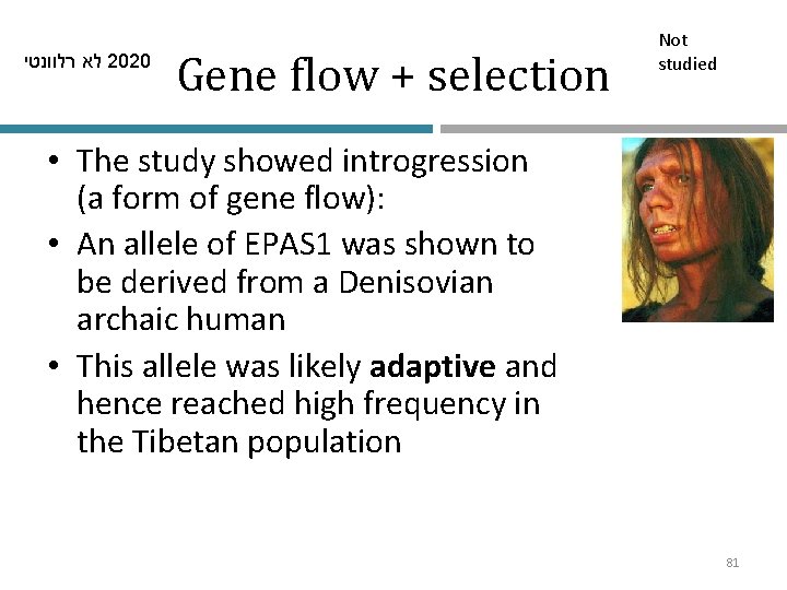  לא רלוונטי 2020 Gene flow + selection Not studied • The study showed