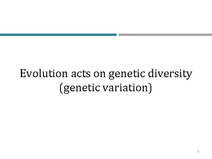 Evolution acts on genetic diversity (genetic variation) 9 