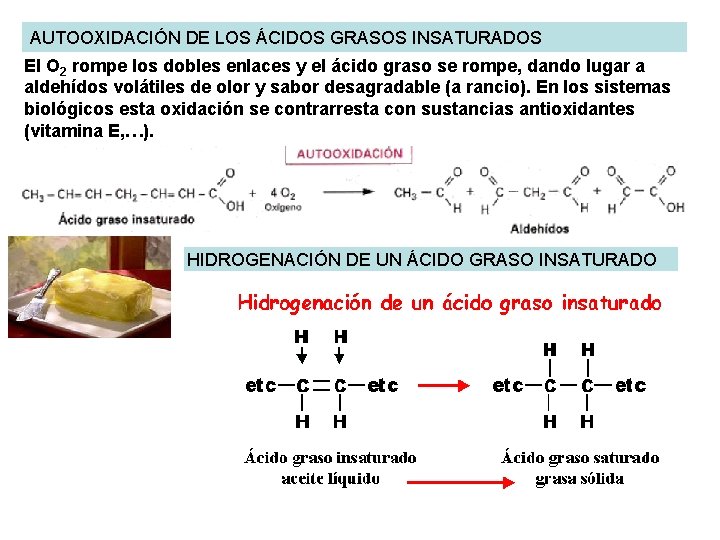 AUTOOXIDACIÓN DE LOS ÁCIDOS GRASOS INSATURADOS El O 2 rompe los dobles enlaces y