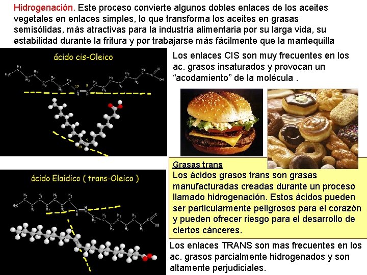 Hidrogenación. Este proceso convierte algunos dobles enlaces de los aceites vegetales en enlaces simples,