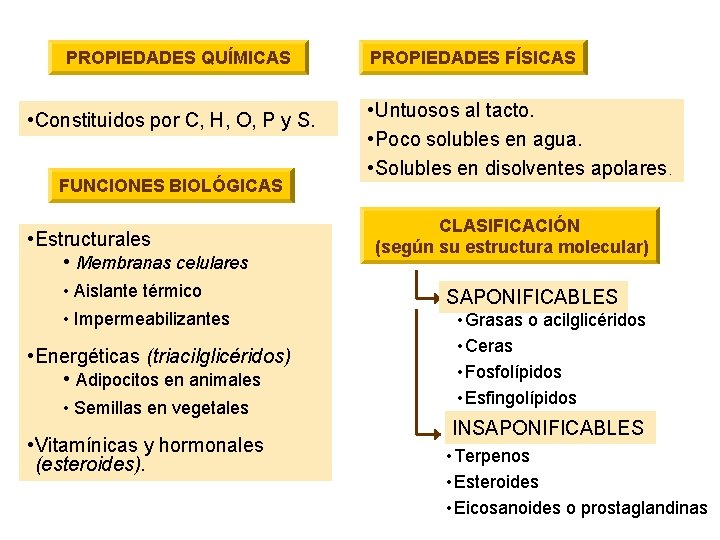 PROPIEDADES QUÍMICAS • Constituidos por C, H, O, P y S. FUNCIONES BIOLÓGICAS •